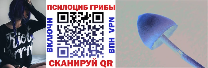 darknet состав  Мончегорск  Галлюциногенные грибы мухоморы 